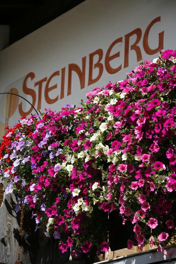 Pension Steinberg ウルティモ エクステリア 写真